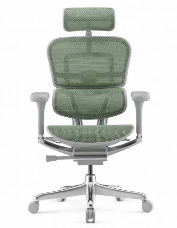 Крісло ергономічне ERGOHUMAN ELITE 2 (EHE2-AG-HAM-5D-L,... 2