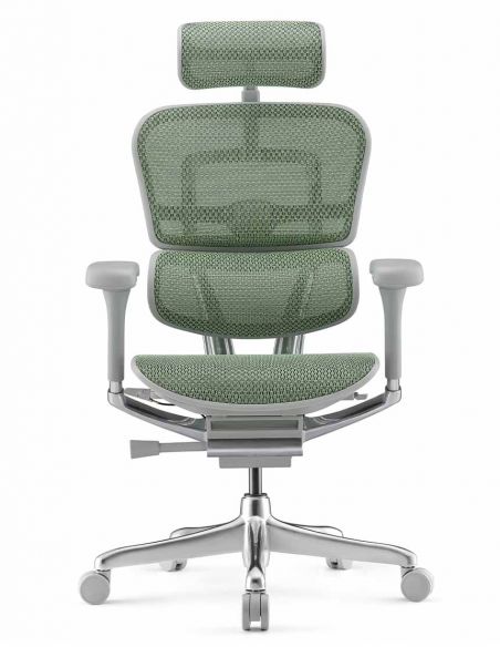 Крісло ергономічне ERGOHUMAN ELITE 2 (EHE2-AG-HAM-5D-L, СІТКА T-168-B6 GREEN)