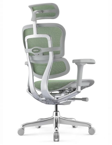 Крісло ергономічне ERGOHUMAN ELITE 2 (EHE2-AG-HAM-5D-L, СІТКА T-168-B6 GREEN)