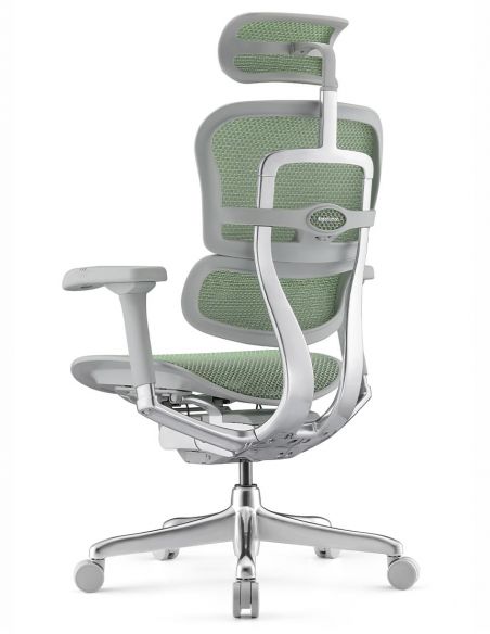 Крісло ергономічне ERGOHUMAN ELITE 2 (EHE2-AG-HAM-5D-L, СІТКА T-168-B6 GREEN)