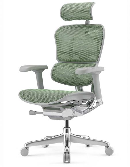Крісло ергономічне ERGOHUMAN ELITE 2 (EHE2-AG-HAM-5D-L, СІТКА T-168-B6 GREEN)