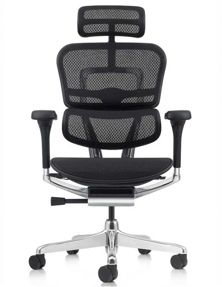 Крісло ERGOHUMAN ELITE 2 (EHE2-AB-HAM-5D-L, сітка T-168-B1 Black), ергономічне