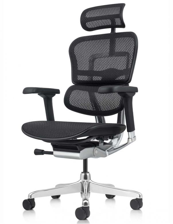 Крісло ERGOHUMAN ELITE 2...