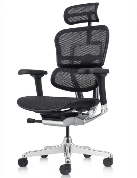 Крісло ERGOHUMAN ELITE 2 (EHE2-AB-HAM-5D-L, сітка T-168-B1 Black), ергономічне