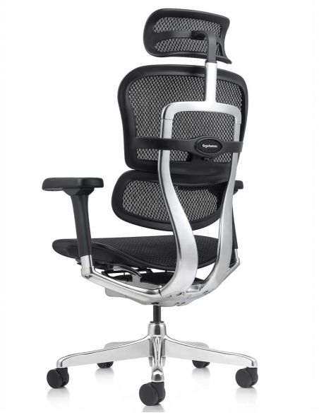 Крісло ERGOHUMAN ELITE 2 (EHE2-AB-HAM-5D-L, сітка T-168-B1 Black), ергономічне