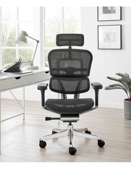 Крісло ERGOHUMAN ELITE 2 (EHE2-AB-HAM-5D-L, сітка T-168-B1 Black), ергономічне