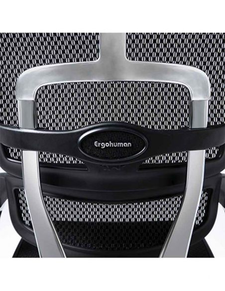 Крісло ERGOHUMAN ELITE 2 (EHE2-AB-HAM-5D-L, сітка T-168-B1 Black), ергономічне