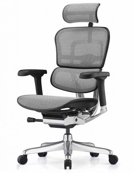 Крісло ERGOHUMAN ELITE 2 (EHE2-AB-HAM-5D-L, сітка T-168-B2 Natural), ергономічне