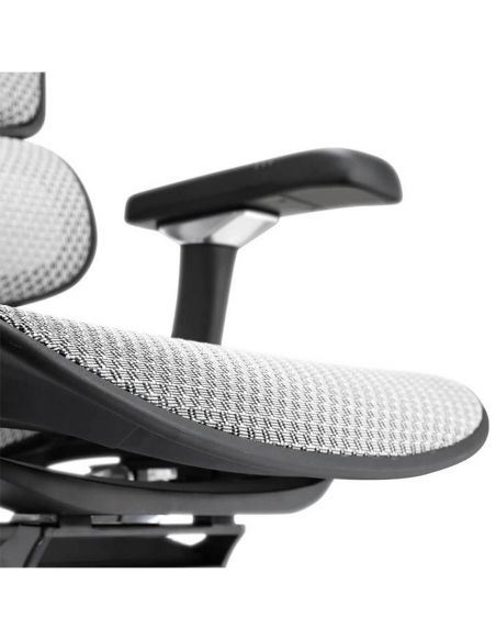 Крісло ERGOHUMAN ELITE 2 (EHE2-AB-HAM-5D-L, сітка T-168-B2 Natural), ергономічне