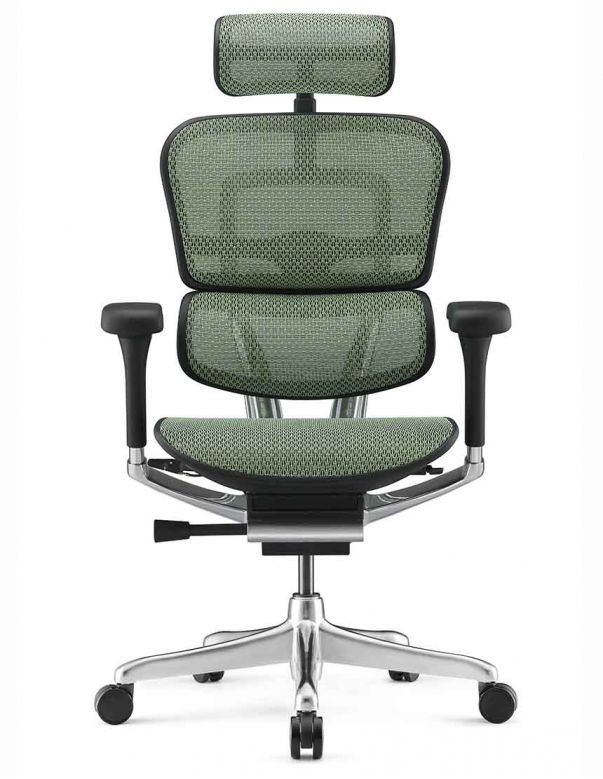 Крісло ERGOHUMAN ELITE 2...