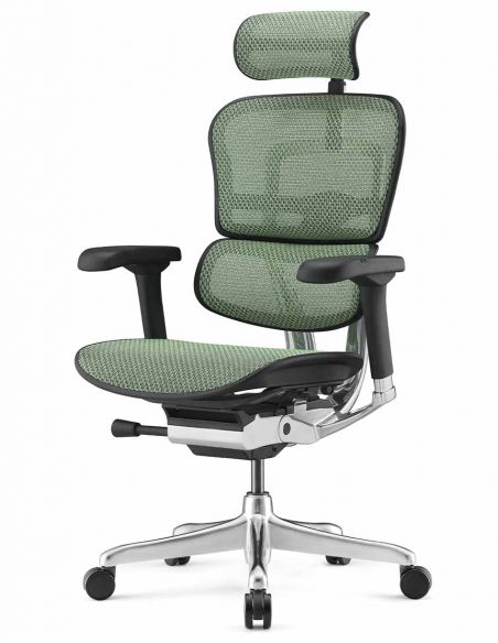 Крісло ERGOHUMAN ELITE 2 (EHE2-AB-HAM-5D-L, сітка T-168-B6 Green), ергономічне