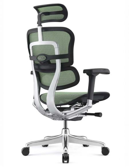 Крісло ERGOHUMAN ELITE 2 (EHE2-AB-HAM-5D-L, сітка T-168-B6 Green), ергономічне