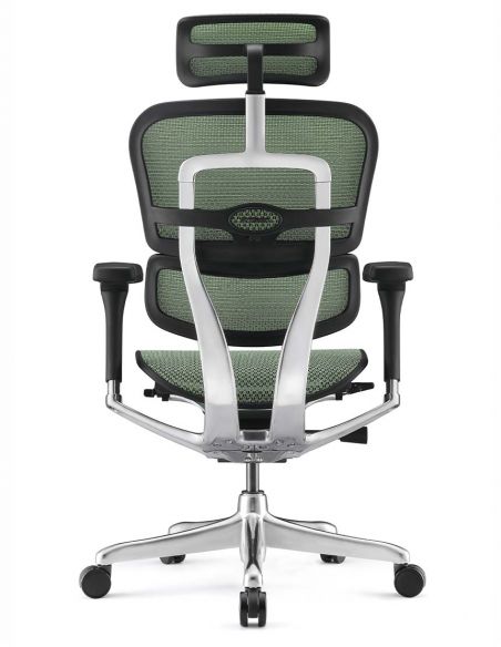 Крісло ERGOHUMAN ELITE 2 (EHE2-AB-HAM-5D-L, сітка T-168-B6 Green), ергономічне