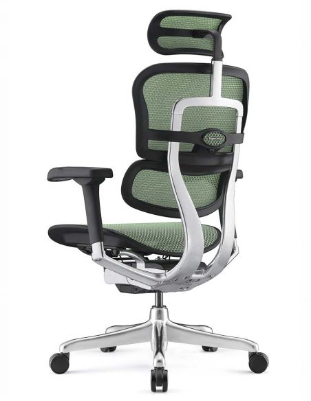 Крісло ERGOHUMAN ELITE 2 (EHE2-AB-HAM-5D-L, сітка T-168-B6 Green), ергономічне
