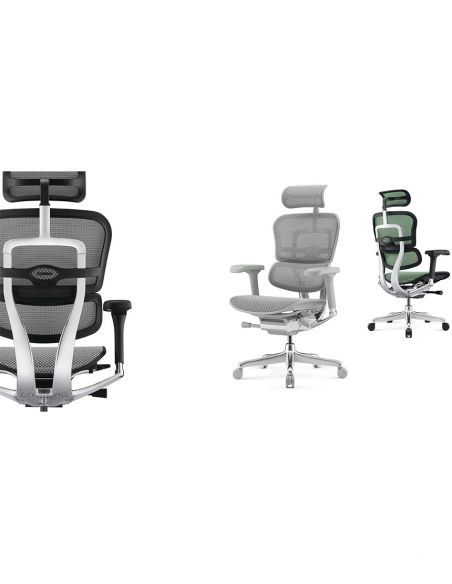 Крісло ERGOHUMAN ELITE 2 (EHE2-AB-HAM-5D-L, сітка T-168-B6 Green), ергономічне