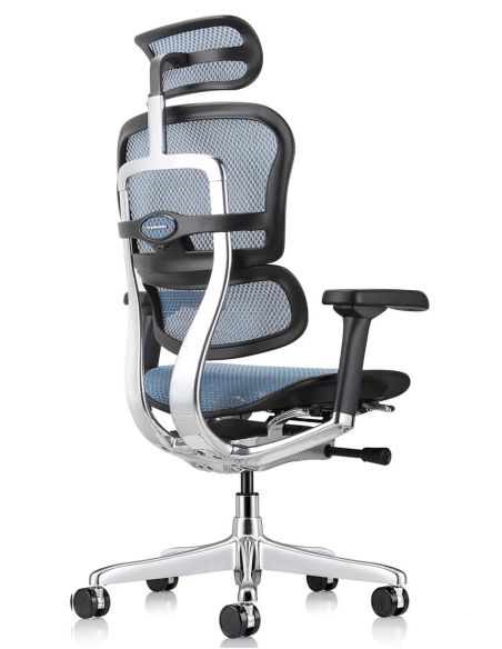 Крісло ERGOHUMAN ELITE 2 (EHE2-AB-HAM-5D-L, сітка T-168-B4 Cobalt), ергономічне