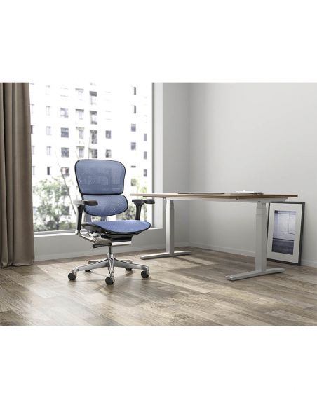 Крісло ERGOHUMAN ELITE 2 (EHE2-AB-HAM-5D-L, сітка T-168-B4 Cobalt), ергономічне