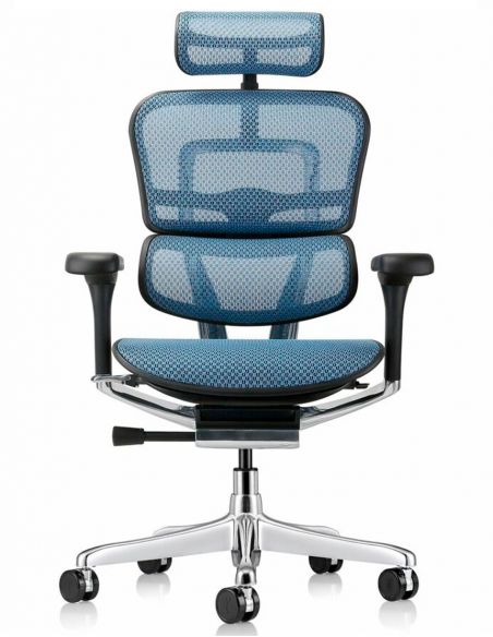 Крісло ERGOHUMAN ELITE 2 (EHE2-AB-HAM-5D-L, сітка T-168-B4 Cobalt), ергономічне