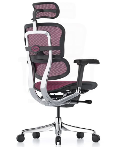 Крісло ERGOHUMAN ELITE 2 (EHE2-AB-HAM-5D-L, сітка T-168-B5 Pink), ергономічне