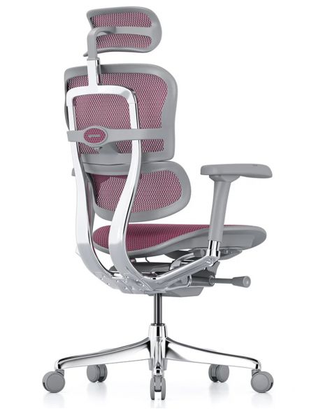 Крісло ергономічне ERGOHUMAN ELITE 2 (EHE2-AG-HAM-5D-L, СІТКА T-168-B5 PINK)