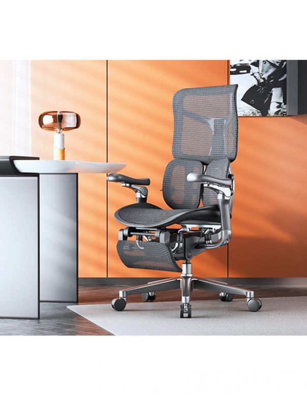 Крісло SIHOO DORO-S300 PRO BLACK...