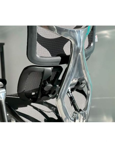 Крісло SIHOO DORO-S300 BLACK ергономічне