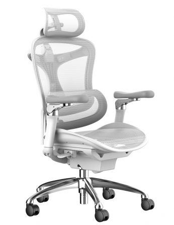 Крісло SIHOO DORO-C300 PRO WHITE ергономічне
