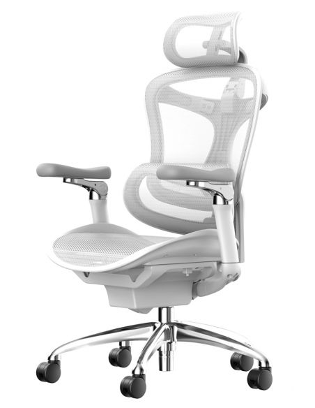 Крісло SIHOO DORO-C300 WHITE ергономічне