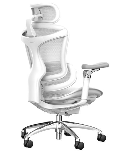 Крісло SIHOO DORO-C300 WHITE ергономічне