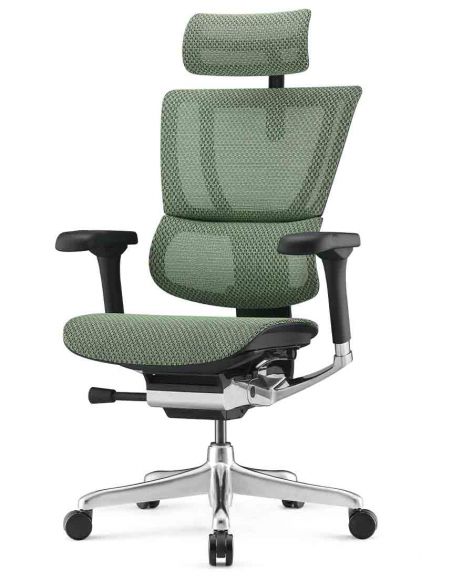 Крісло ергономічне MIRUS-IOO 2 (IOOE2-AB-HAM-5D-L, СІТКА Т-168-B6 GREEN)