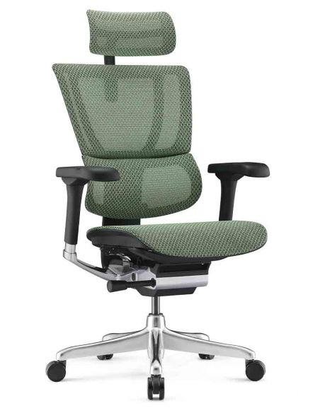 Крісло ергономічне MIRUS-IOO 2 (IOOE2-AB-HAM-5D-L, СІТКА Т-168-B6 GREEN)