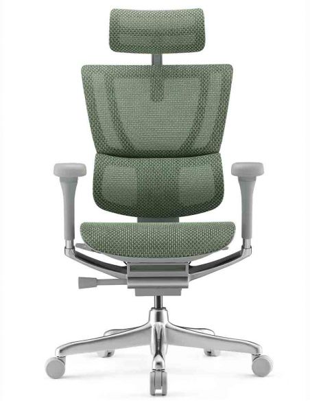 Крісло ергономічне MIRUS-IOO 2 (IOOE2-AG-HAM-5D-L, СІТКА Т-168-B6 GREEN)