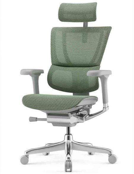 Крісло ергономічне MIRUS-IOO 2 (IOOE2-AG-HAM-5D-L, СІТКА Т-168-B6 GREEN)