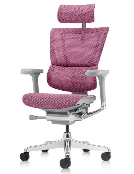 Крісло ергономічне MIRUS-IOO 2 (IOOE2-AG-HAM-5D-L, СІТКА Т-168-B5 PINK )