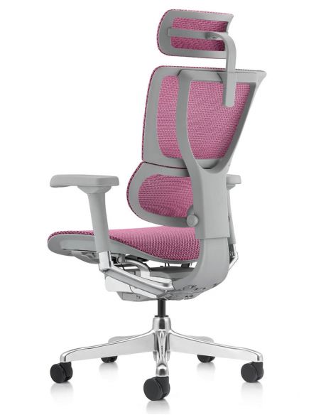 Крісло ергономічне MIRUS-IOO 2 (IOOE2-AG-HAM-5D-L, СІТКА Т-168-B5 PINK )