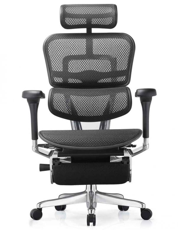 Крісло ERGOHUMAN ELITE 2...