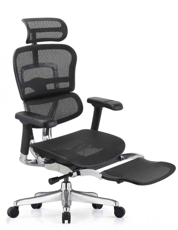 Крісло ERGOHUMAN ELITE 2...