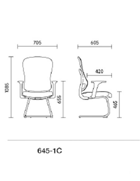 Крісло KRESLALUX GO-SIT 645-1C BLACK, для відвідувача, на полозах