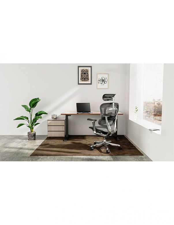 Крісло ERGOHUMAN ELITE 2...