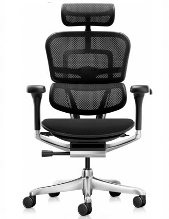 Крісло ERGOHUMAN ELITE 2 (EHE2-AB-HBM-F-5D-L),... 2