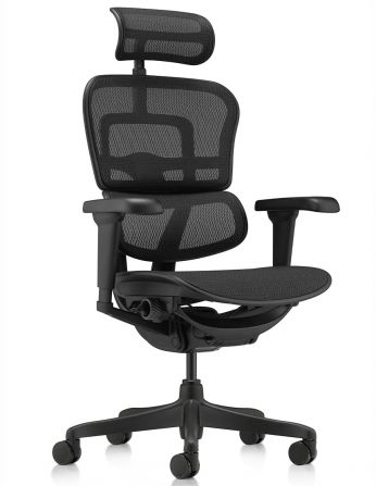 Крісло ERGOHUMAN ULTRA ALL BLACK (EHU-BB-HAM-4D, сітка...