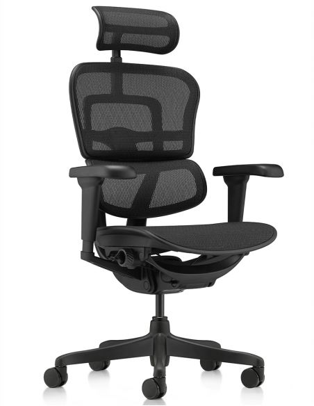 Крісло ERGOHUMAN ULTRA ALL BLACK (EHU-BB-HAM-4D, сітка T-168-B1 BLACK), ергономічне