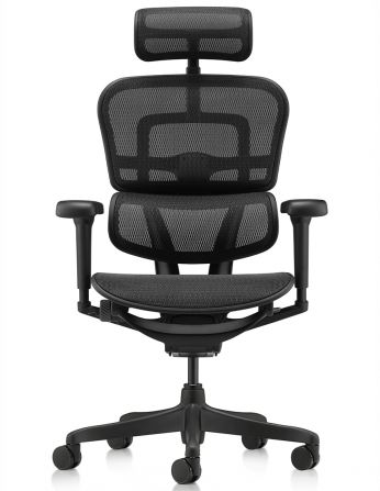Крісло ERGOHUMAN ULTRA ALL BLACK (EHU-BB-HAM-4D, сітка... 2