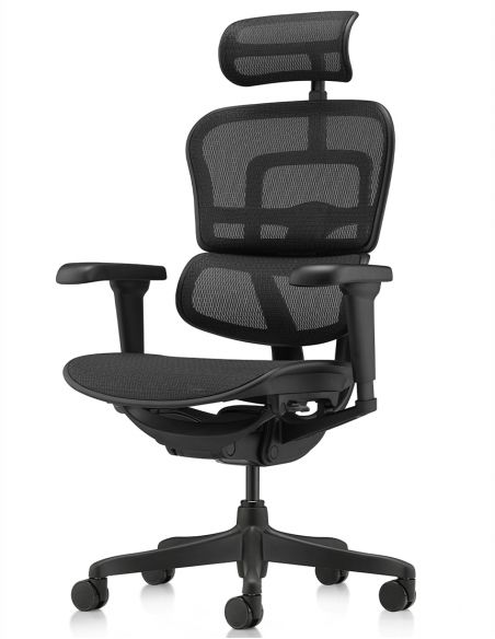 Крісло ERGOHUMAN ULTRA ALL BLACK (EHU-BB-HAM-4D, сітка T-168-B1 BLACK), ергономічне