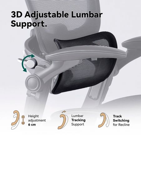 КРІСЛО HINOMI H1 CLASSIC V3 BLACK, ергономічне