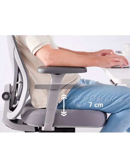 КРІСЛО HINOMI Q1 GREY, ергономічне