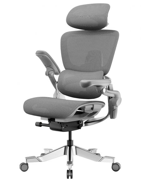КРІСЛО HINOMI H2 PRO MOON GREY, ергономічне, з підставкою для ніг