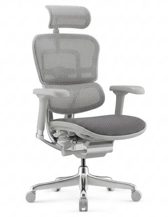 Крісло ERGOHUMAN ELITE 2 (EHE2-AG-HBM-F-5D-L),...