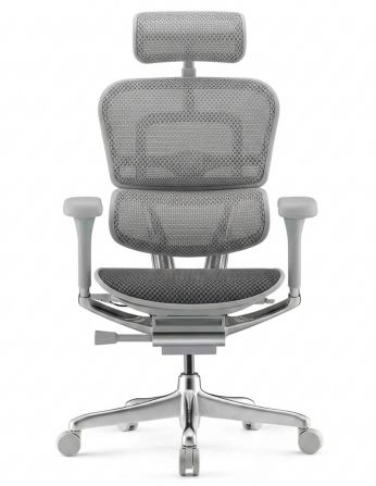 Крісло ERGOHUMAN ELITE 2 (EHE2-AG-HBM-F-5D-L),... 2