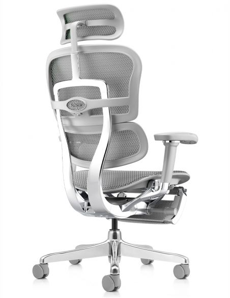 Крісло ERGOHUMAN ELITE 2 (EHE2-AG-HAM-5D-L-LM, сітка T-168-B2 Natural), ергономічне, з підставкою під ноги